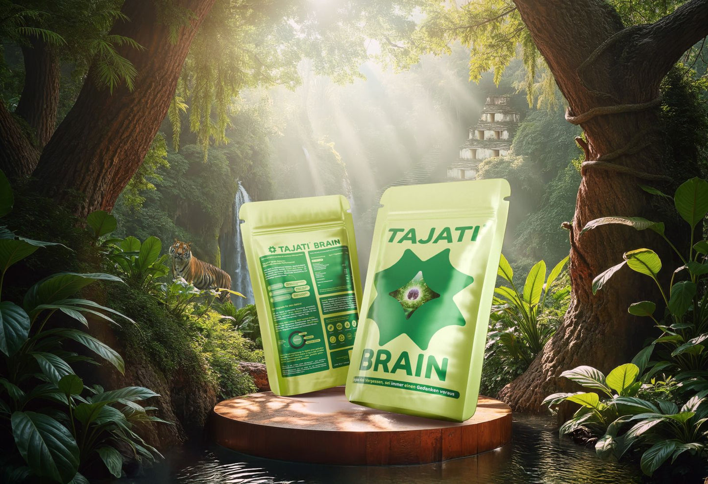 TAJATI® BRAIN - 3-Monats-Abonnement