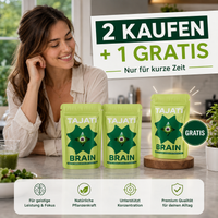 TAJATI® BRAIN – Ansicht 6